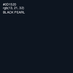 #0D1520 - Black Pearl Color Image